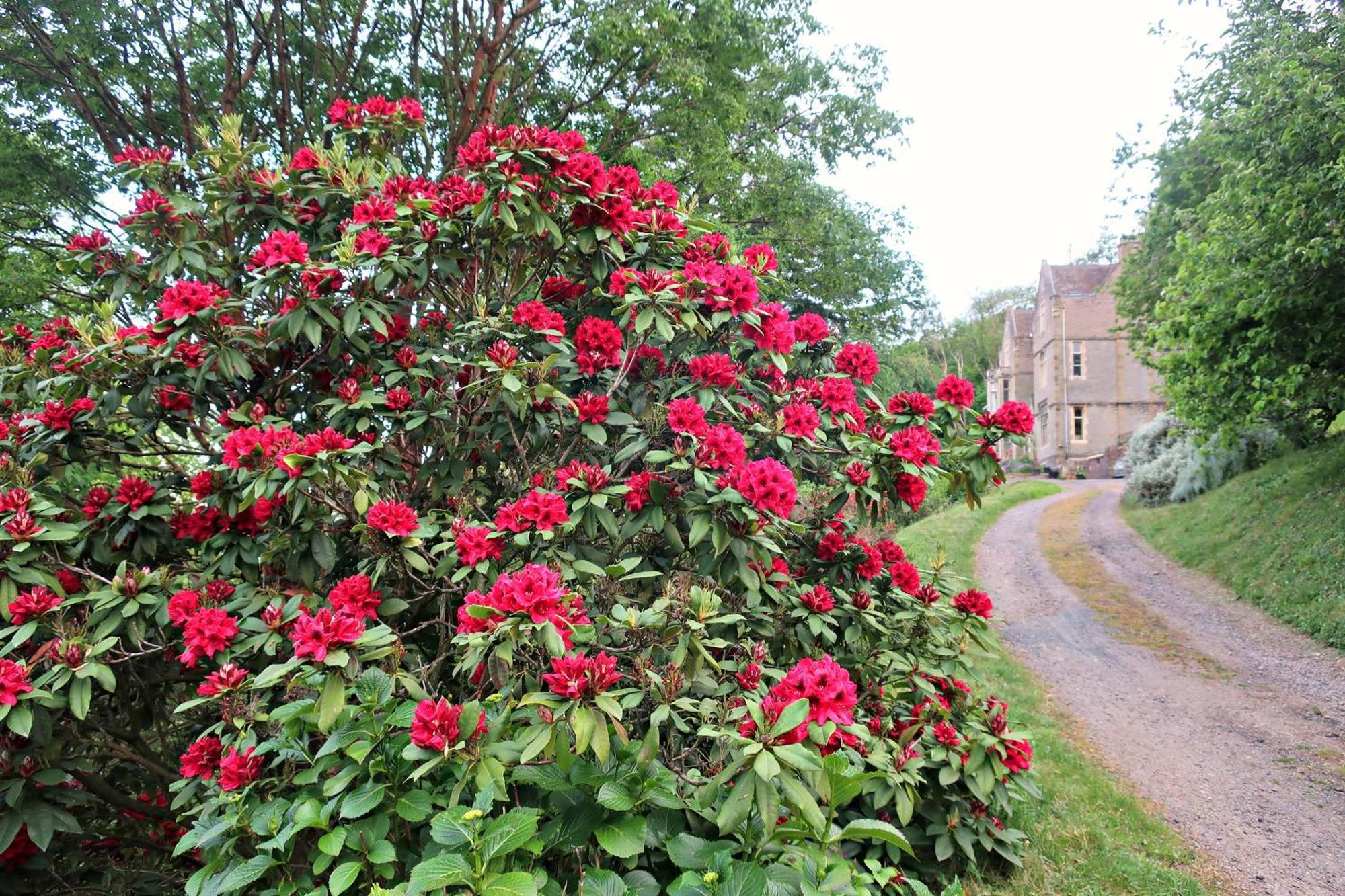 Haslington House Leilighet Malvern Wells Eksteriør bilde